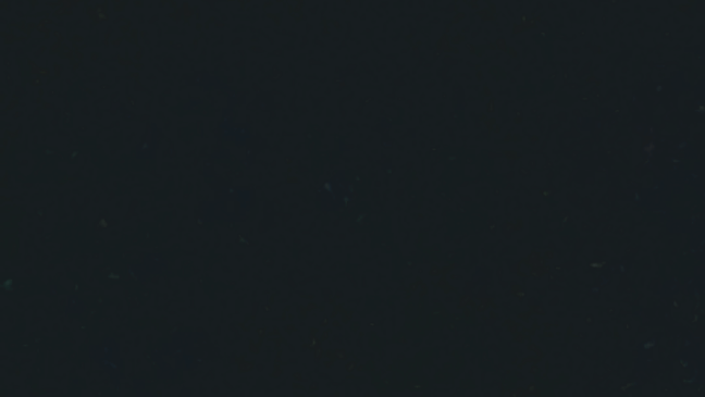 Opinii despre Rel-ish în Nelson - Hospitality and gastronomy