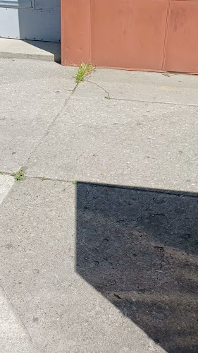 Opinii despre Bansaree Indian Restaurant în St. Catharines - Hospitality and gastronomy