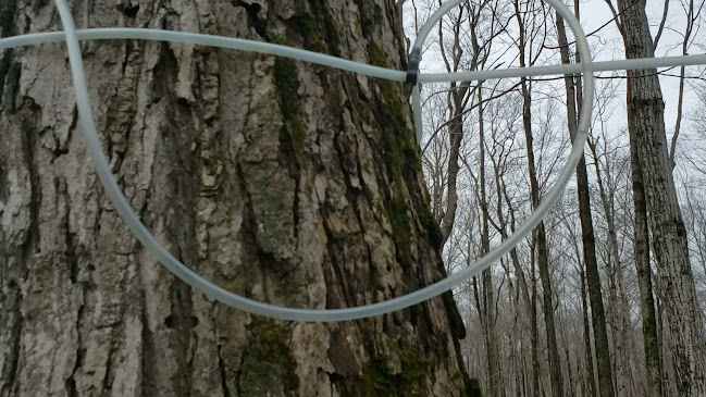 493 14 Line S, Oro-Medonte, ON L3V 8J3