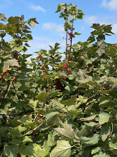 23823 72 Ave, Langley Twp, BC V1M 3K9