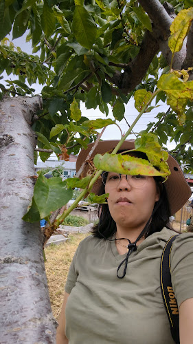 Opinii despre Westbank Corner Fruit Stall în West Kelowna - Hospitality and gastronomy