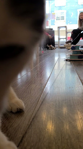 Comentarii opinii despre Mad Catter Cafe