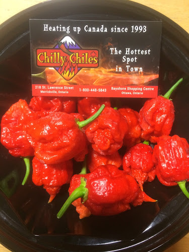 Chilly Chiles - Hospitality and gastronomy