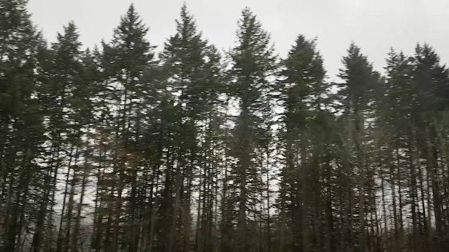 Clarke & Co. - Hospitality and gastronomy