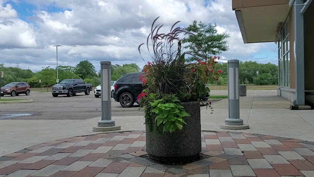 La Bonita Latin American Restaurant - Hospitality and gastronomy