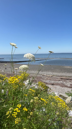 Marilyn Pearson Cuisine and Company - Surrey