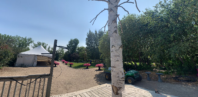 Comentarii opinii despre The Berry Barn