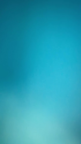 Z's Creamy Creation - Calgary