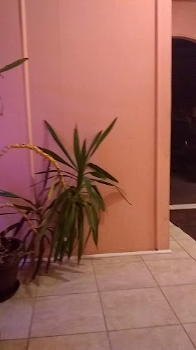 China Garden Restaurant