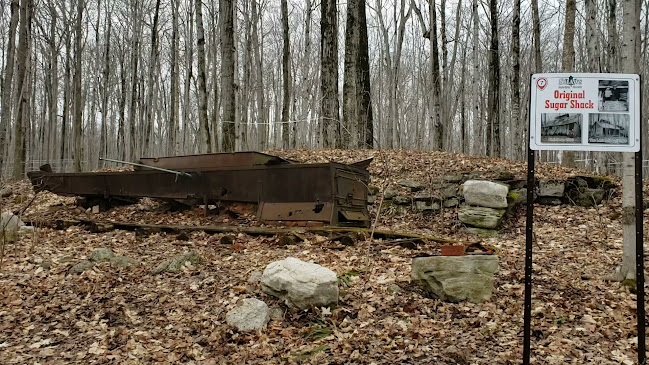 Shaws Catering - Hospitality and gastronomy