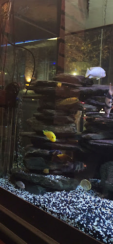 Comentarii opinii despre Moxies Victoria Restaurant