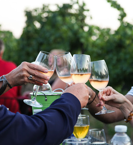 Comentarii opinii despre Calamus Estate Winery