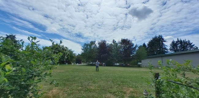 Driediger Farms Market