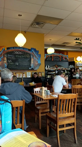 Blue Fox Cafe - Hospitality and gastronomy