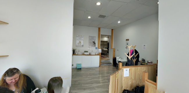 Cat Cafe on Whyte