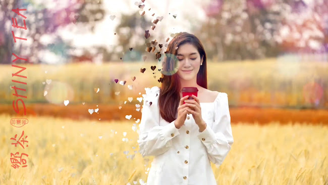 Shiny Tea - Richmond Center - Hospitality and gastronomy