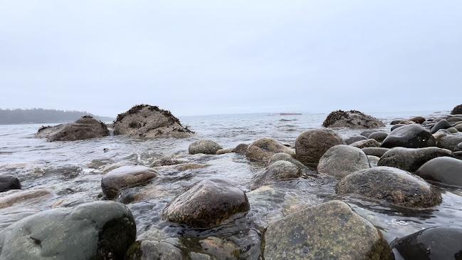 1495 Bellevue Ave, West Vancouver, BC V7T 1C3