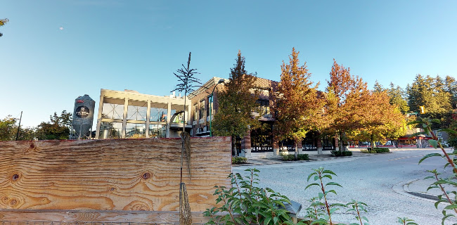 Comentarii opinii despre Orto Artisan Pasta