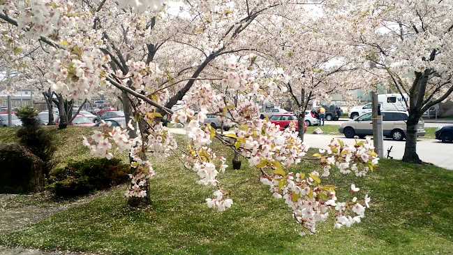 Opinii despre The Keating Channel Pub & Grill în Toronto - Hospitality and gastronomy