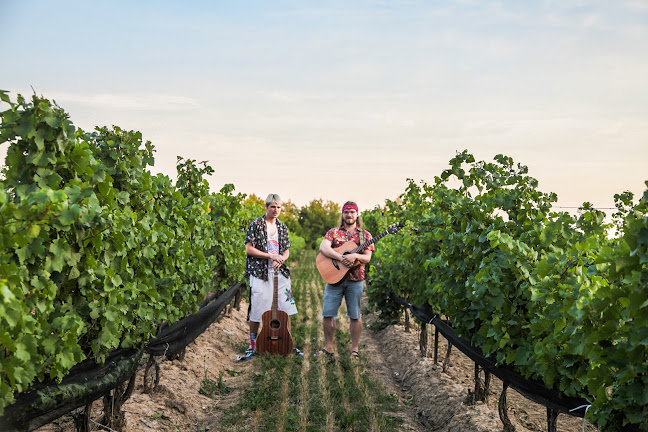 3100 Glen Rd, Jordan Station, ON L0R 1S0