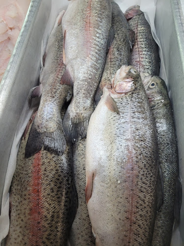 Comentarii opinii despre Moncton Fish Market