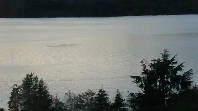 OV Burger Bar - Hospitality and gastronomy