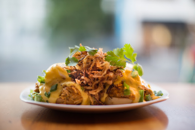 Blue Fox Cafe - Hospitality and gastronomy