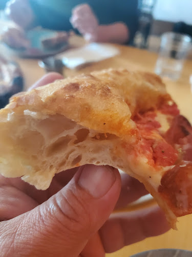 The Tangerine Tortoise - Hospitality and gastronomy