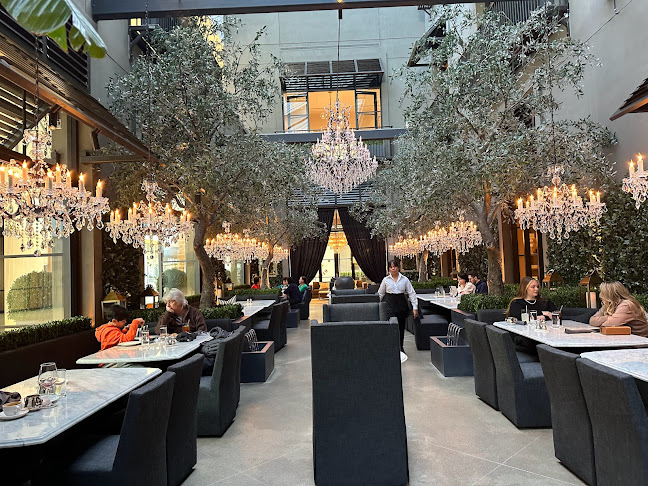 RH Courtyard Restaurant at RH Toronto - Toronto