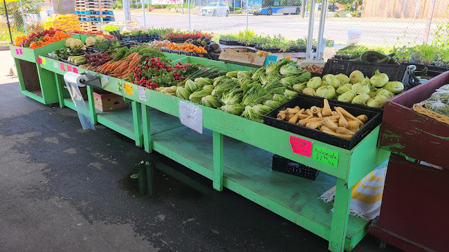 Comentarii opinii despre G J Farm