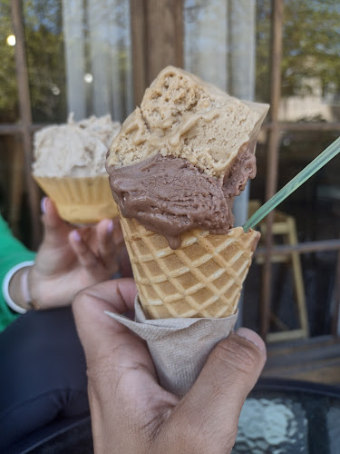 Matteo's Gelato - Hospitality and gastronomy