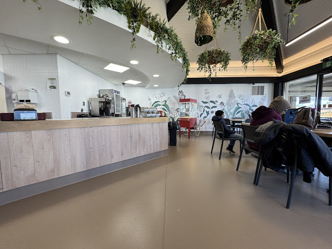 Comentarii opinii despre Garden Café