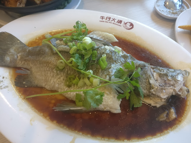 Lucky Joy Restaurant(Best Price on Website!) - Richmond