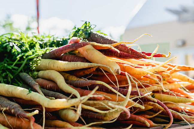 3514 Pembina Hwy, Winnipeg, MB R3V 1A1