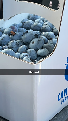 CanWest Farms Ltd. - Hospitality and gastronomy