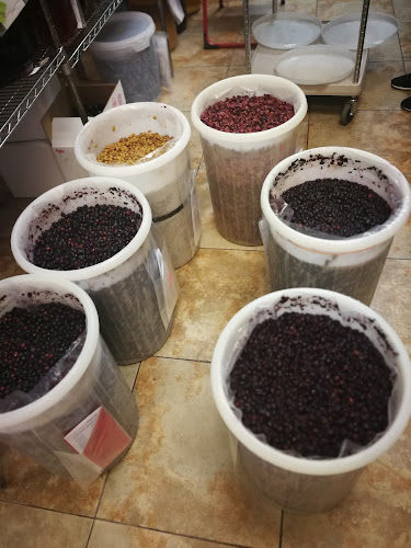 6581 Aulds Rd #502, Nanaimo, BC V9T 6J6