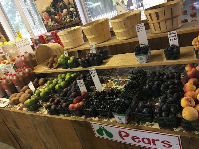 37 Hamilton Regional Rd 52, Copetown, ON L0R 1J0