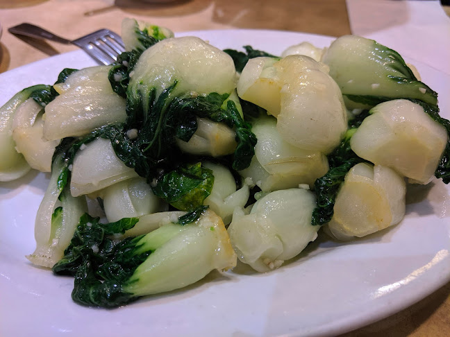 Pine Tree Garden Restaurant - Hospitality and gastronomy