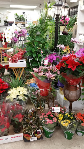 Comentarii opinii despre Maillardville Market 152