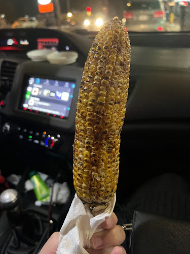 1342 Gerrard St E, Toronto, ON M4L 1Z2