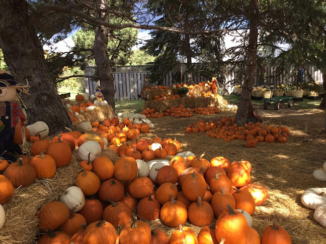 Opinii despre Hildreth Farm Market în Lincoln - Hospitality and gastronomy