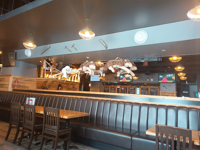 Comentarii opinii despre The Old Trapper