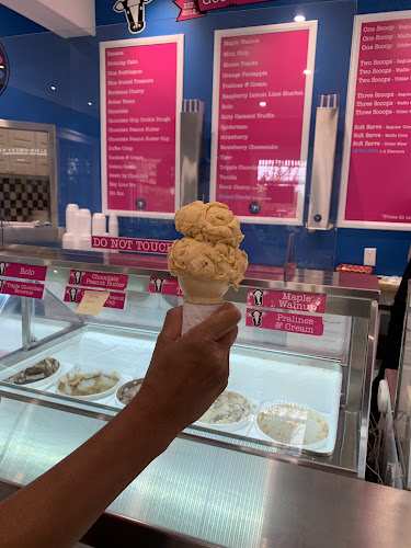 Comentarii opinii despre Holy Cows Ice Cream