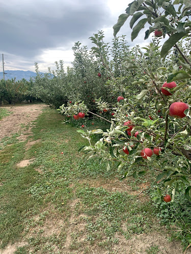 Opinii despre Westbank Corner Fruit Stall în West Kelowna - Hospitality and gastronomy