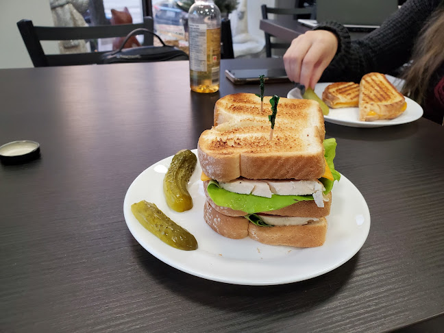 Comentarii opinii despre Alley Cat Cat Cafe