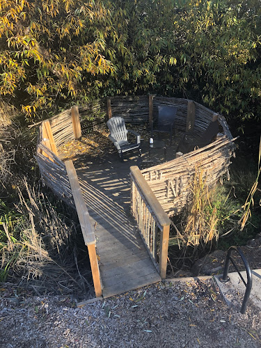 Comentarii opinii despre The Nest Cafe