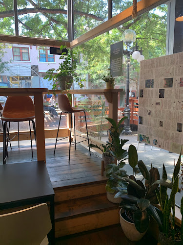 Sprout Plant Based Eatery - Hospitality and gastronomy