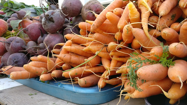 245 St Paul St, Kamloops, BC V2C 2J2