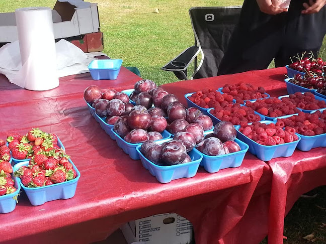 Abbotsford Farm & Country Market - Hospitality and gastronomy