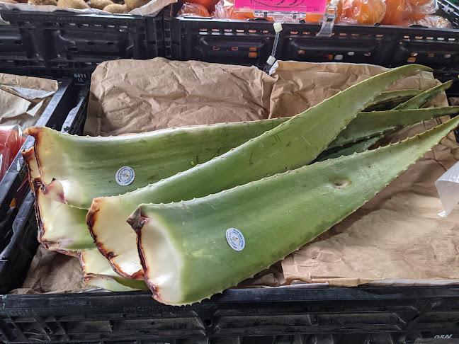 Comentarii opinii despre Foxy Farm Market